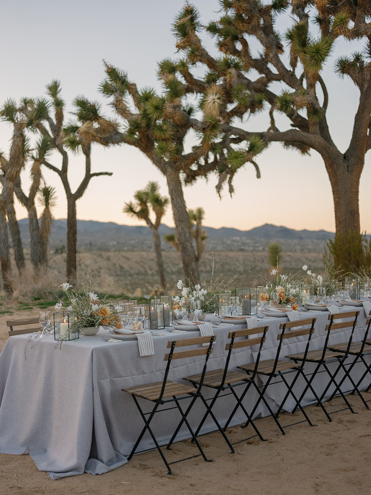 Wedding-Reception-Yucca-Valley-California-Kelli-Christine-Photo-62_websize