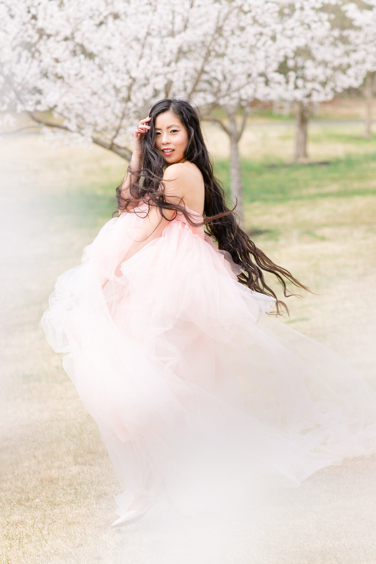 MeadowlarkBotanicalGardens_Cherry blossoms_155889