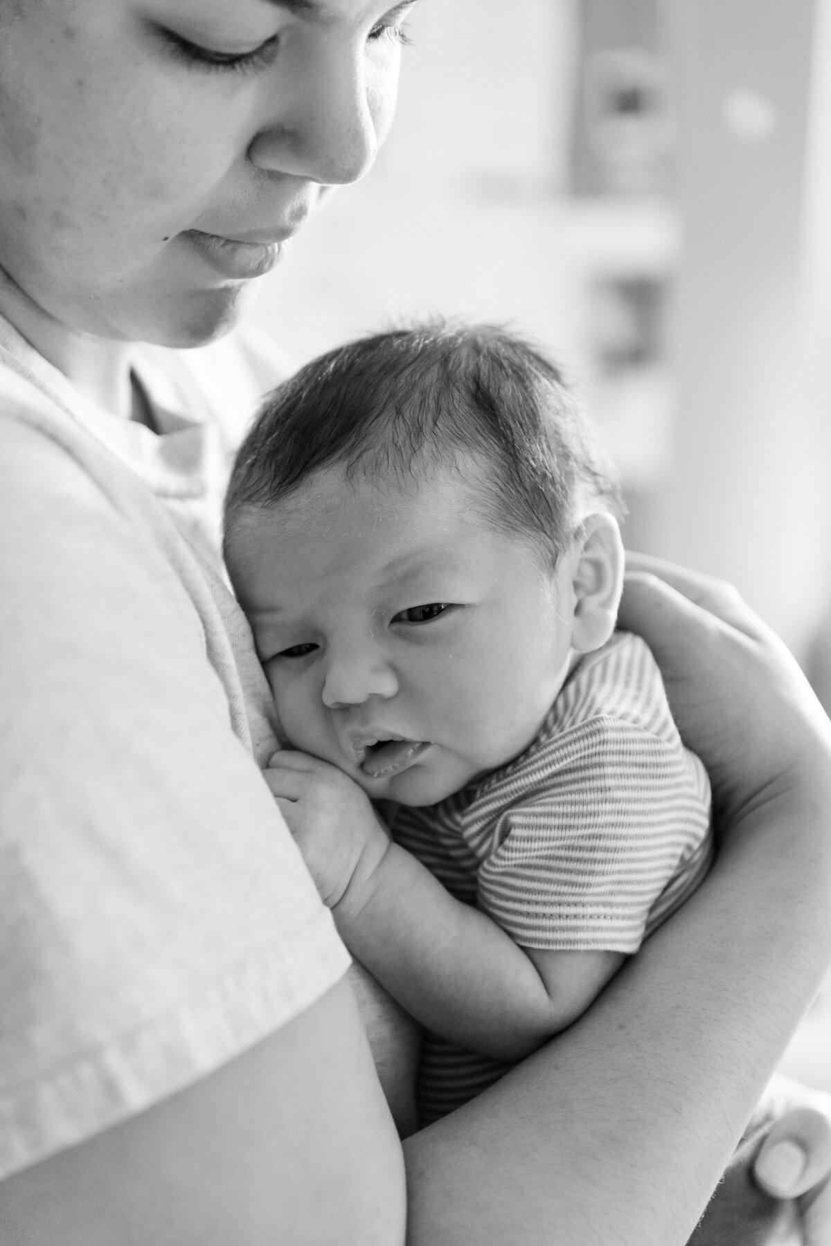 Newborn Portraits