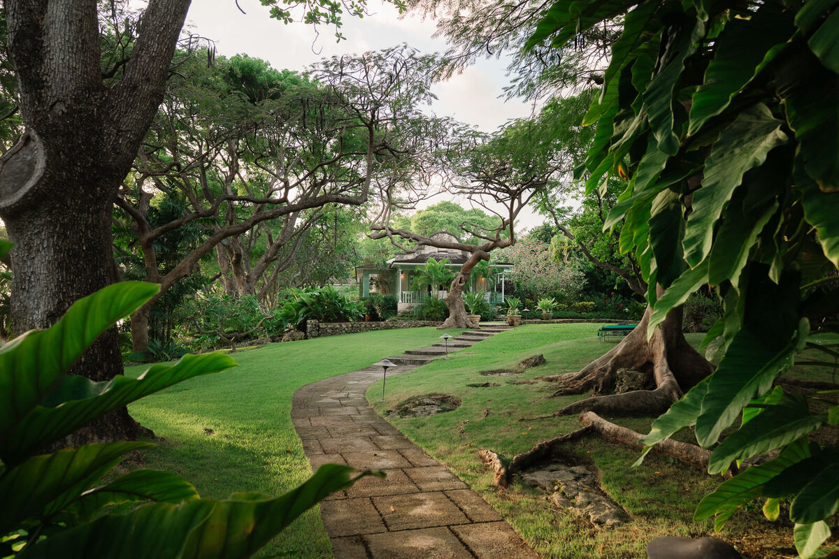 Fustic House Barbados Wedding-21