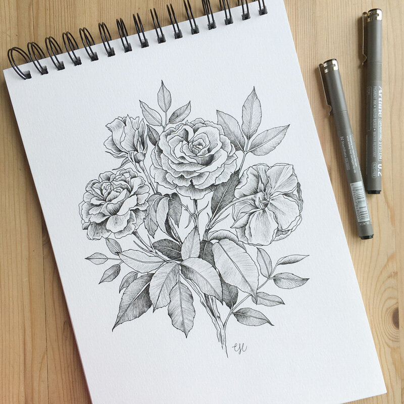 rose bouquet ink drawing