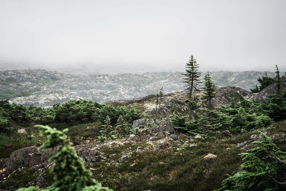 personal_32546629670_948dfd6feb_o