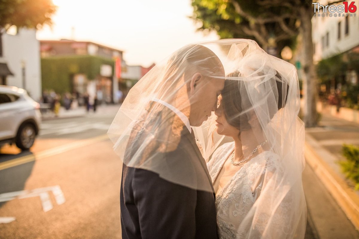 Tender moment between Bride and Groom under her veil