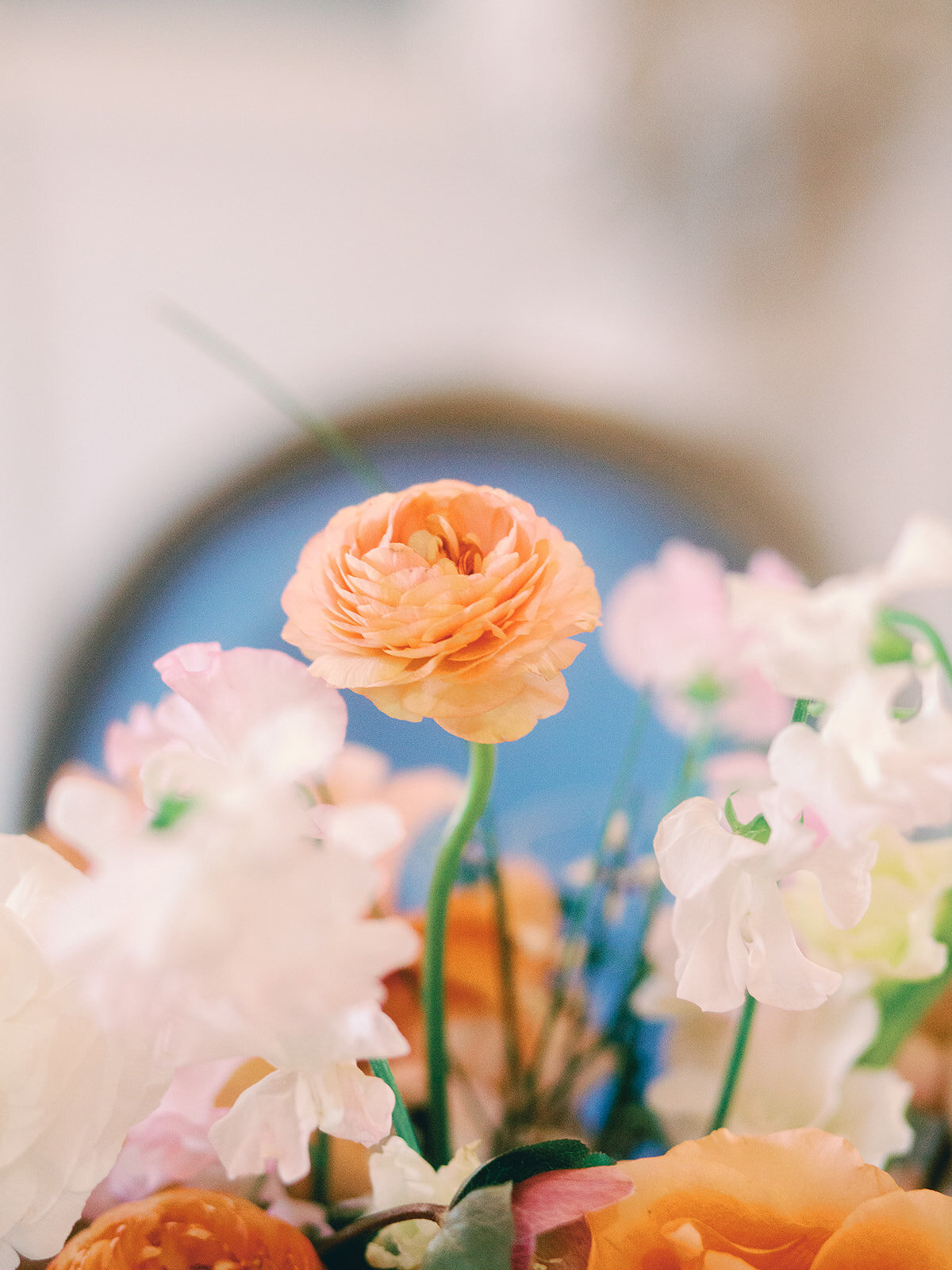 2DD91C86-DE86-429F-9903-FCCC29FD64E7