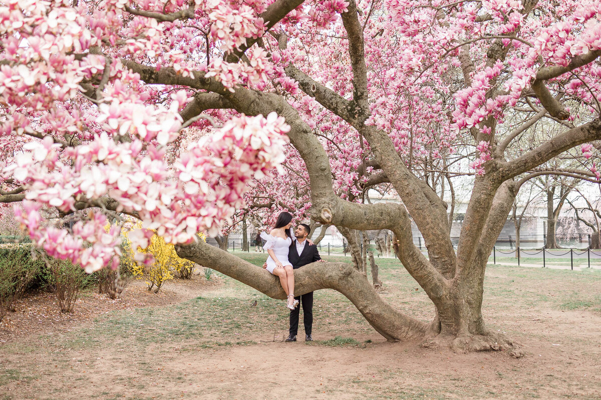 ENGAGEMENT-PHOTOGRAPHY-session-cherry-blossom-tidal-basin-washington-dc-82