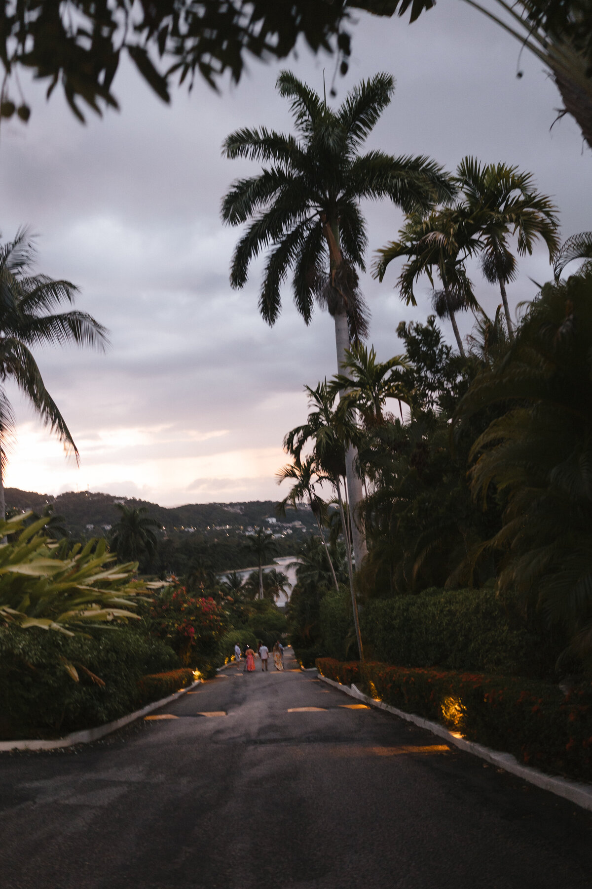 250509HANTYL-adv0018