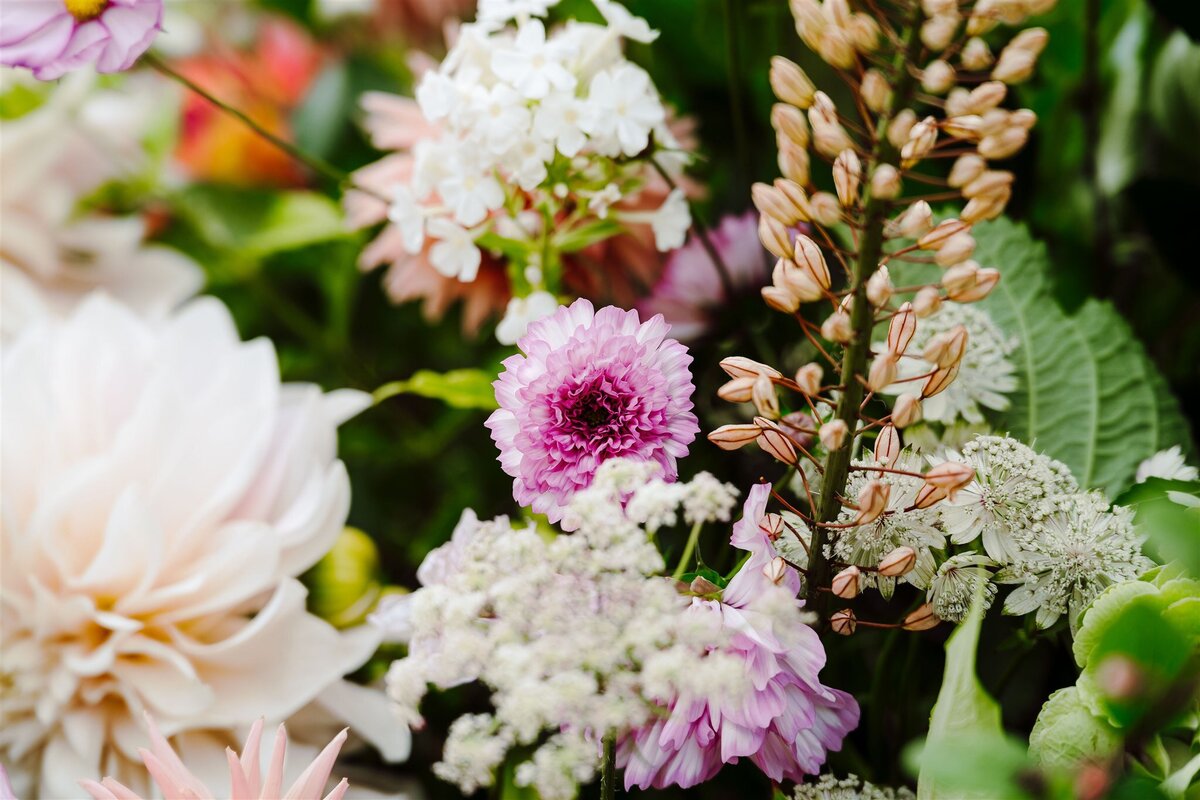 Summer flowers at Clevedon Hall 
