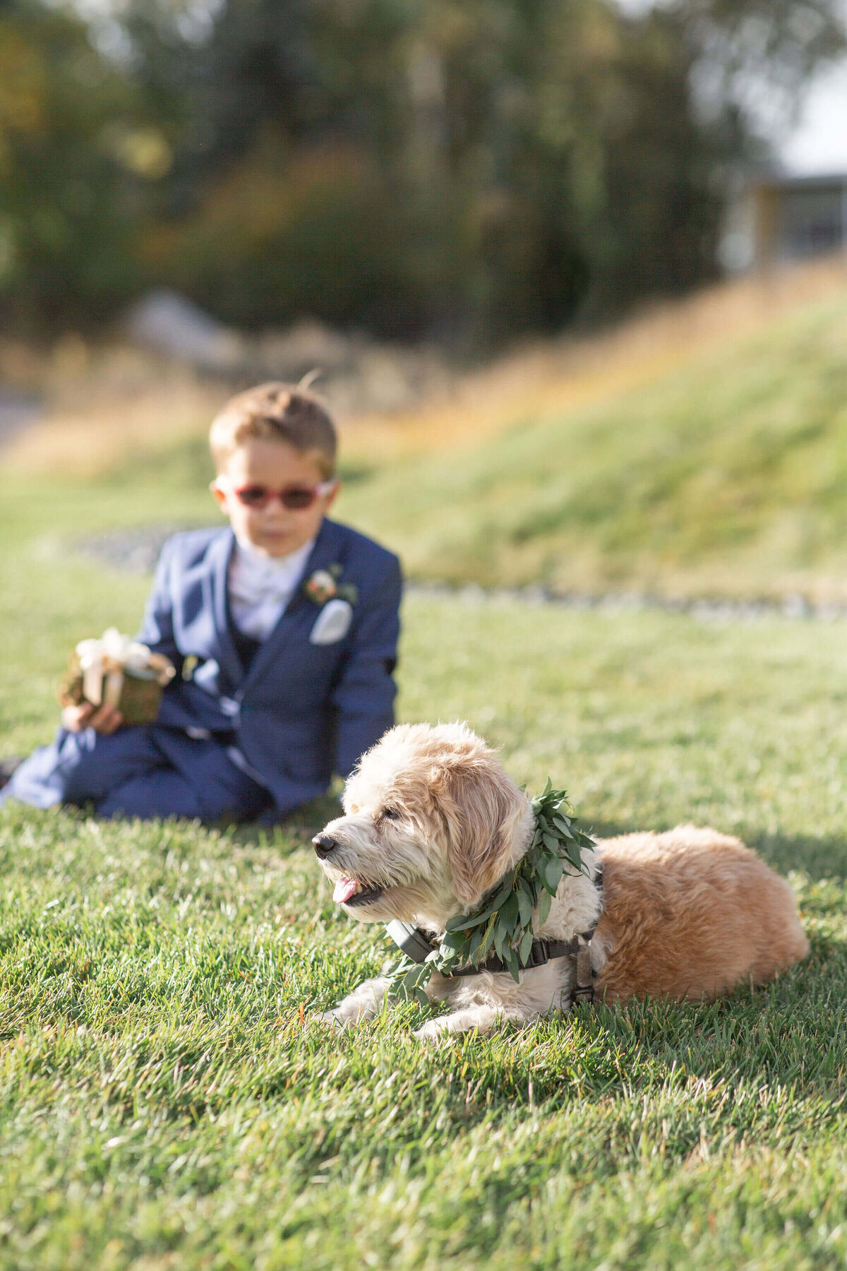 fall-aspen-wedding-boy-and-dog