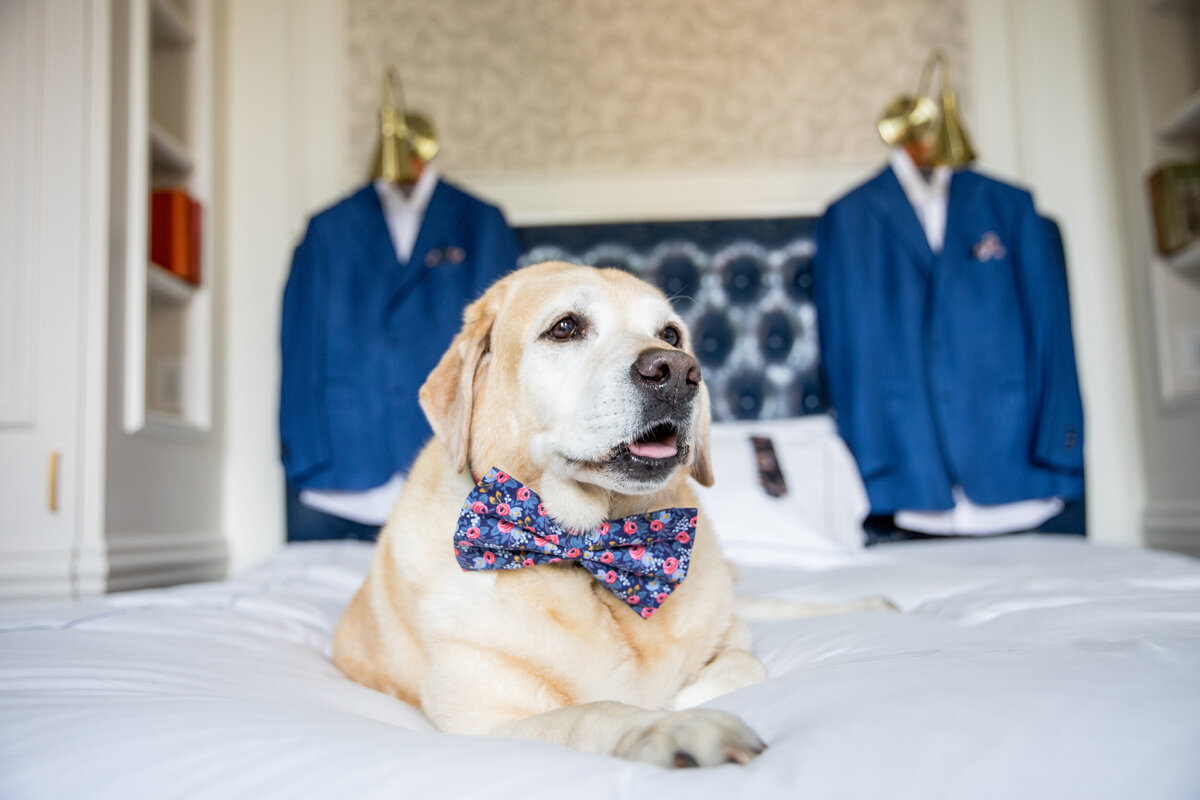 adelphi-hotel-wedding-photographer-099