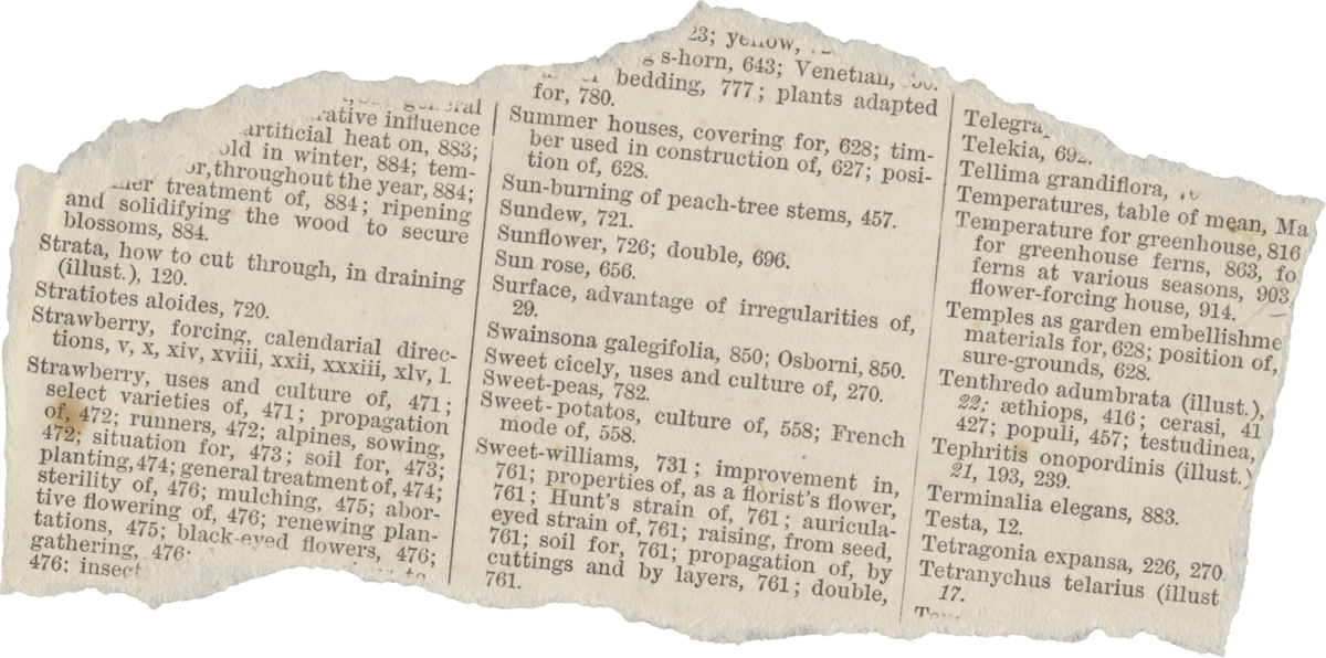 newspaper graphic about strawberry blossoms