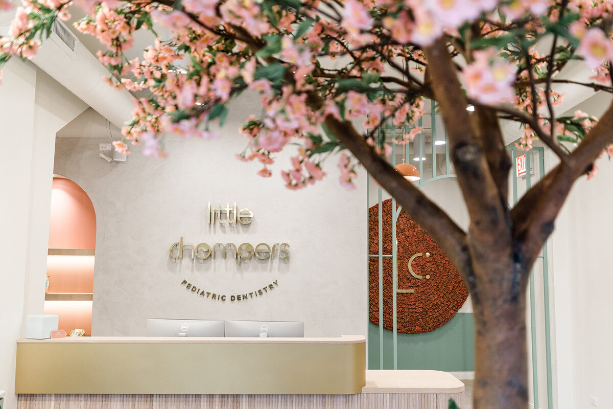 A faux floral tree with pink blossoms frames the mid-century modern design of the offices of Dr. Michael Rabinowitz, Lincoln Square family dentist.