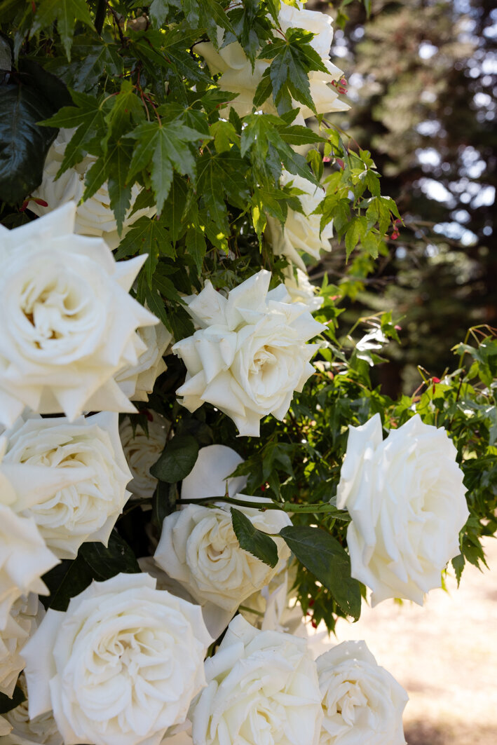 houseofloveweddings2-53
