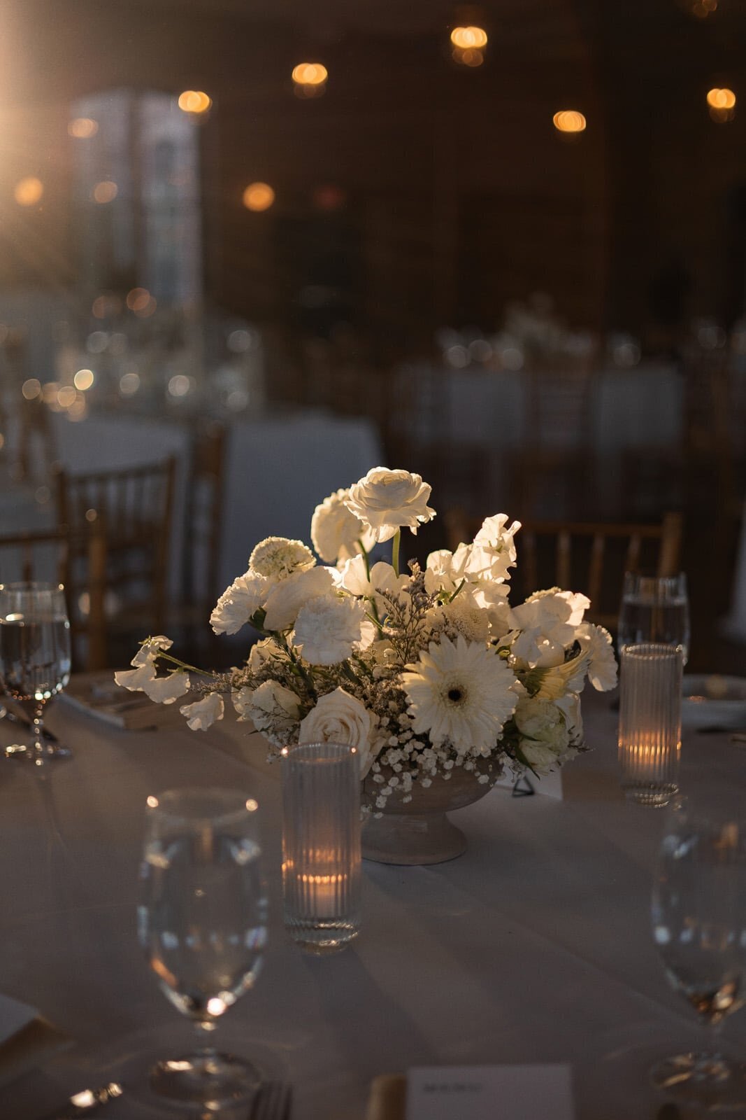 Charleston Carolina Weddings | Carolina Occasions 112