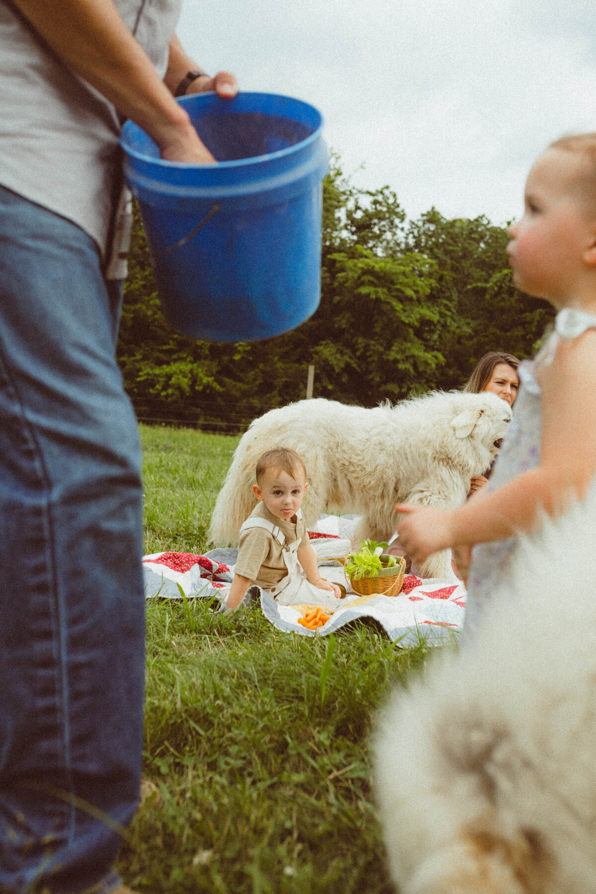 hartsburg-mo-farm-family-session-columbia-photographer-240608-0024