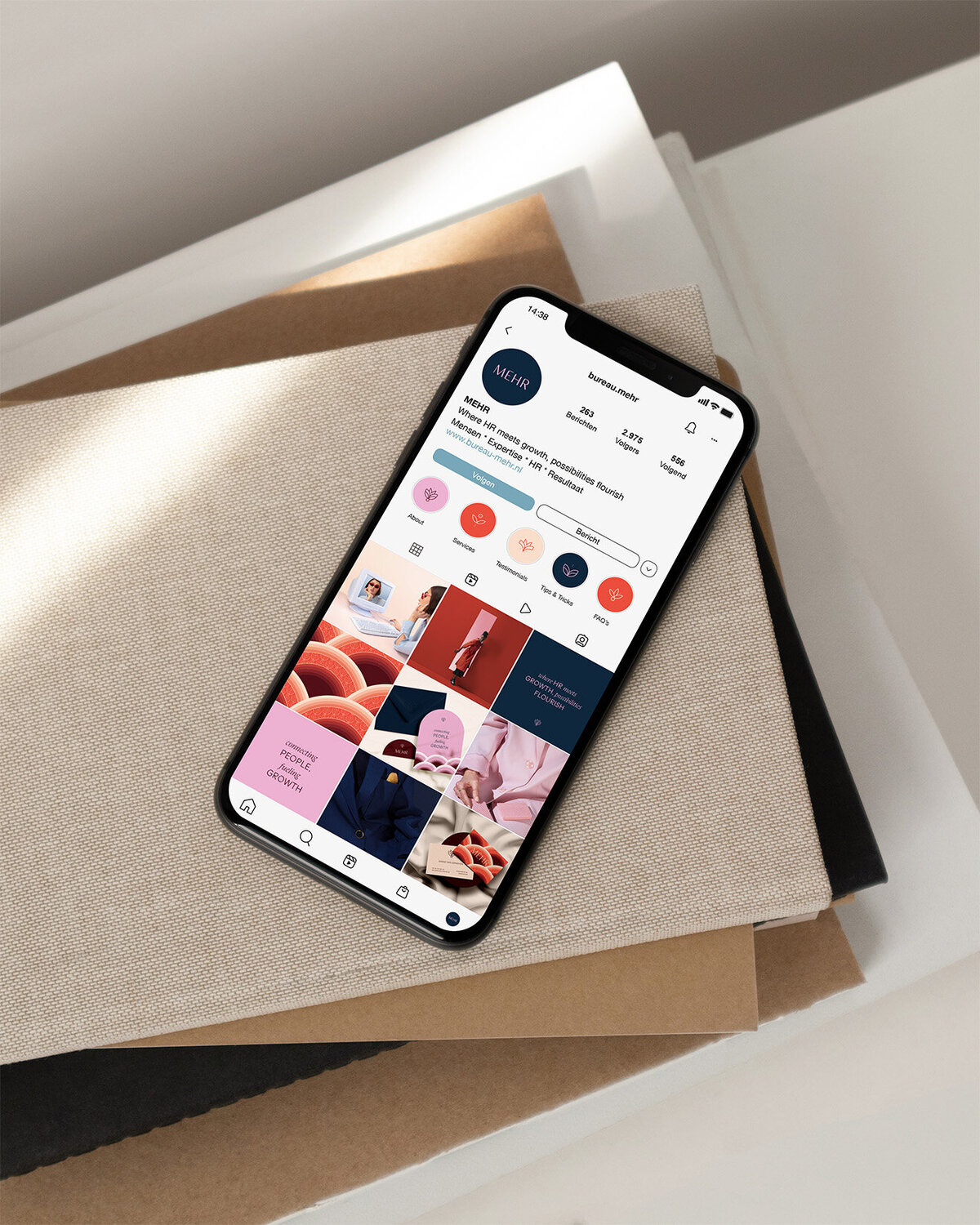 MEHR Instagram profielweergave op smartphone