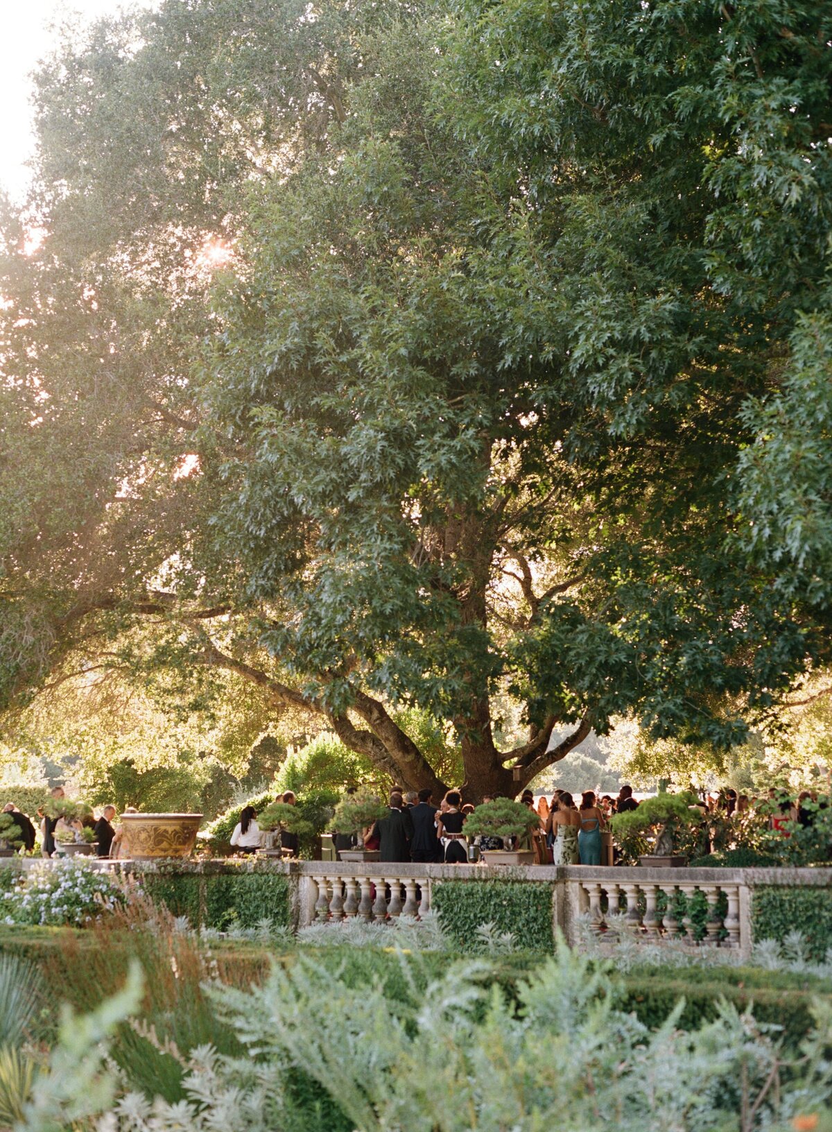 Sarah + Ainsley Filoli California Wedding Sneak Peeks Cassie Valente Photography 0056