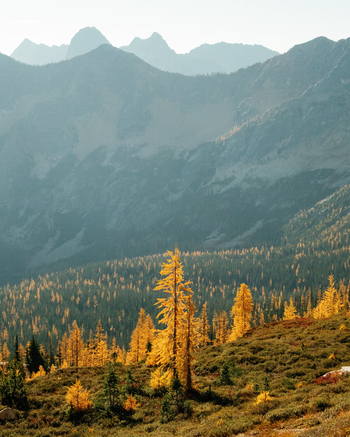 cutthroat_pass_north_cascades_national_park_washington_larch_hike_04