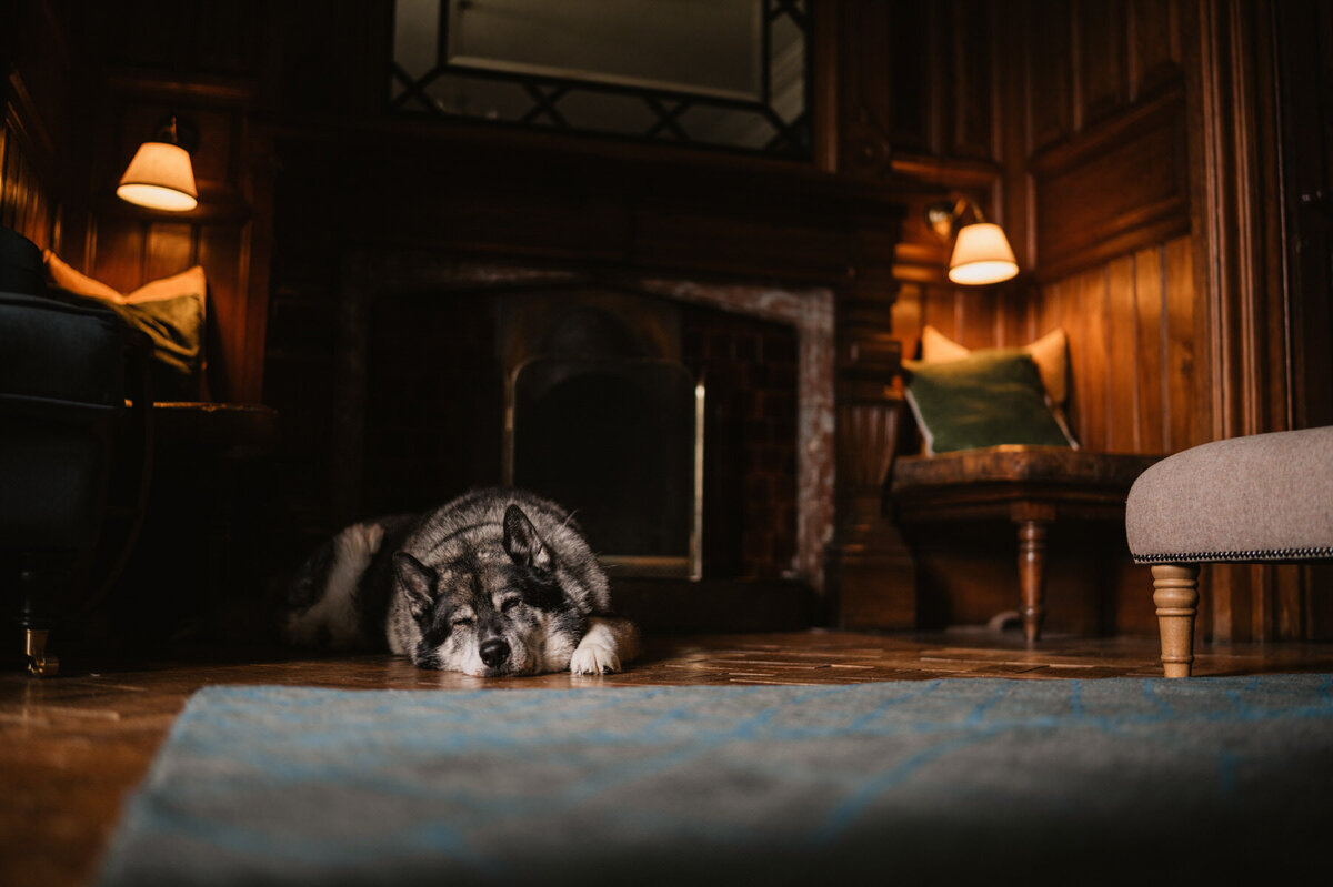 Videography and Wedding Photography in Derby and York_k+J-342-1