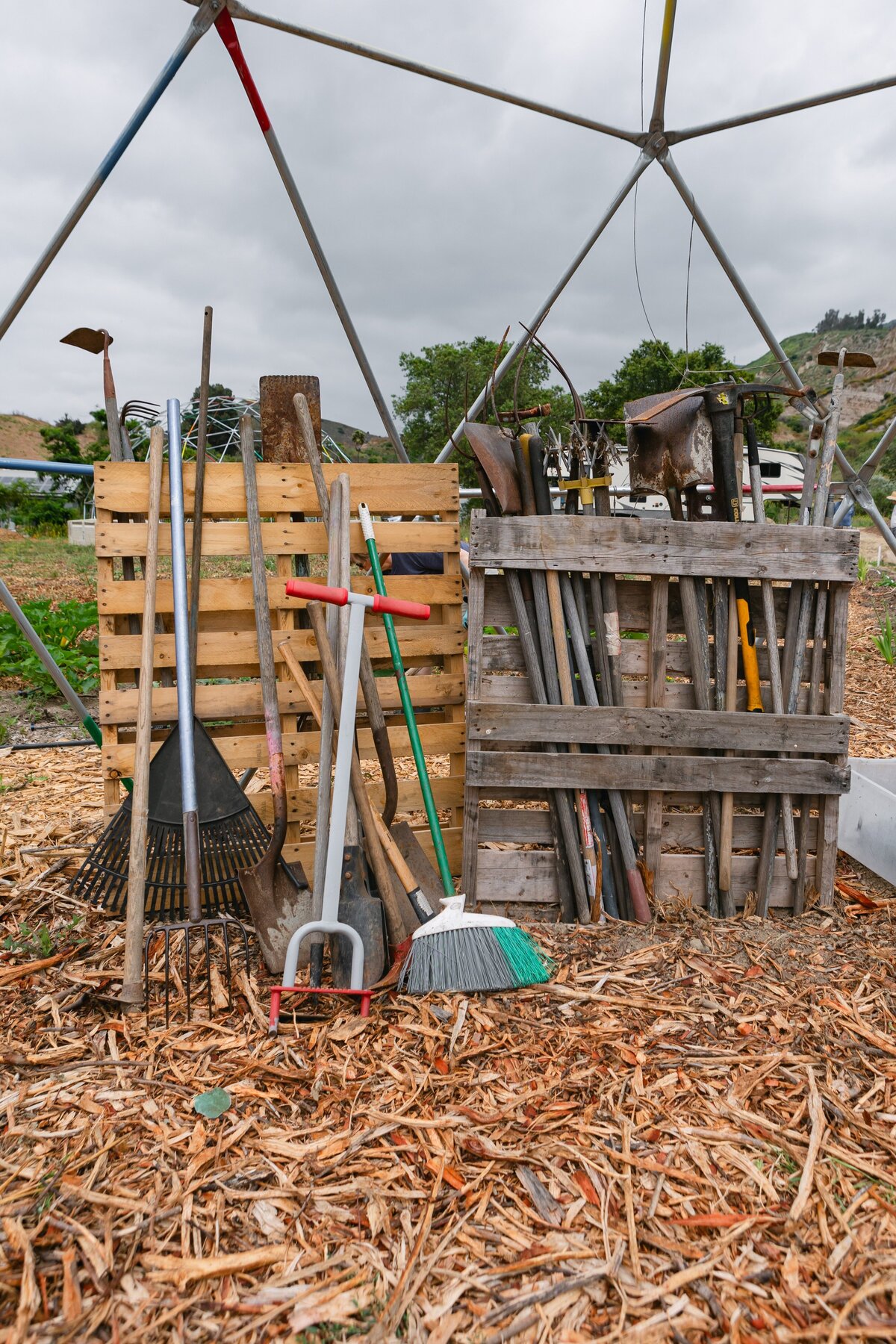 The-Ripe-Org-Farm-Ventura-California-Santa-Paula-Non-Profit-0003