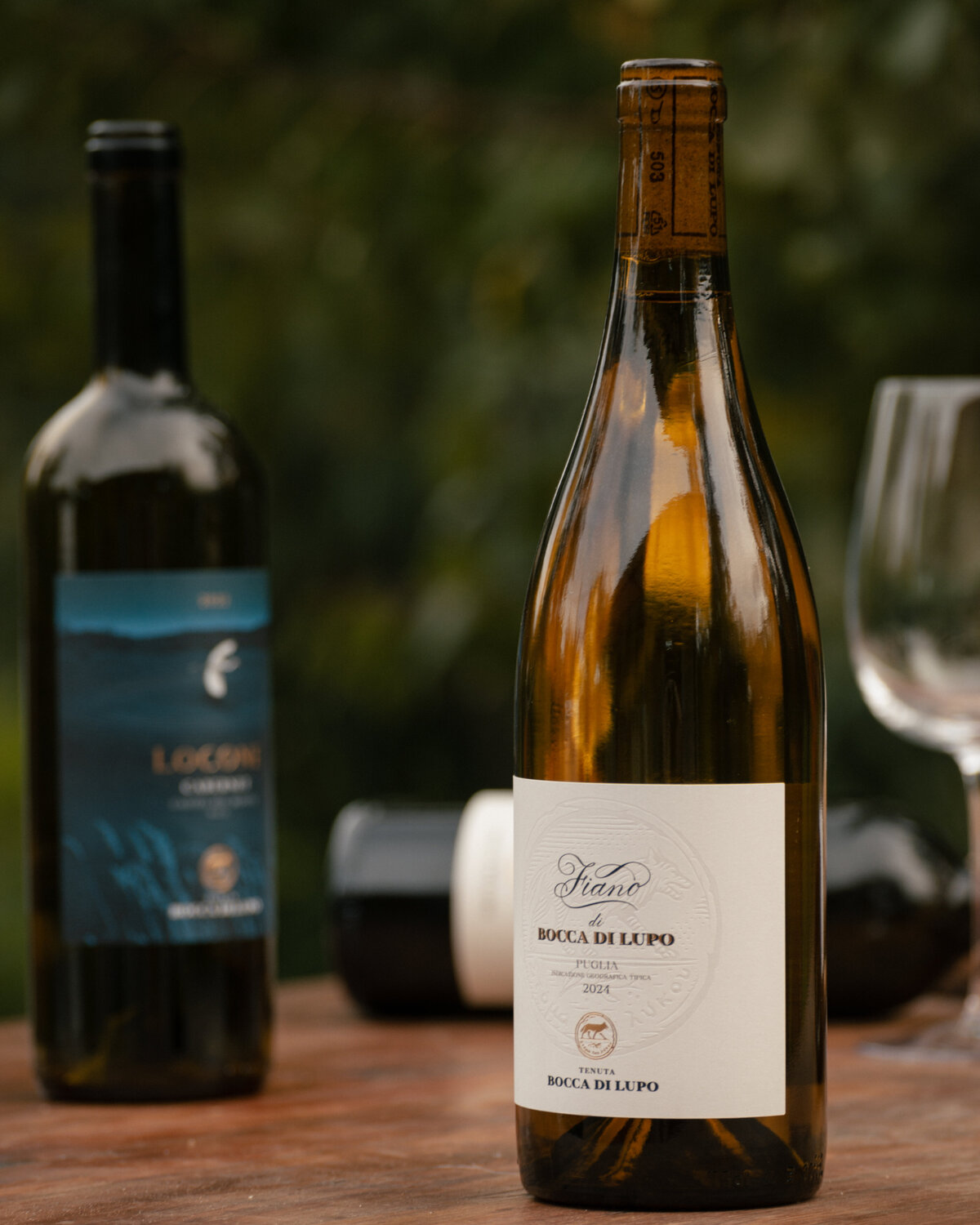 24Nov2025_BoccaDiLupo-99