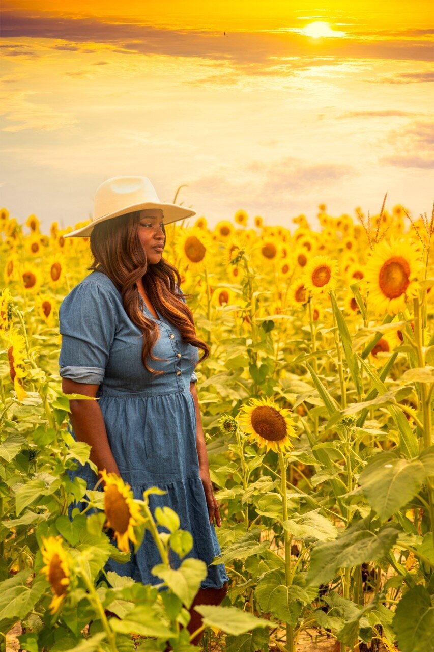 newsunflower Large