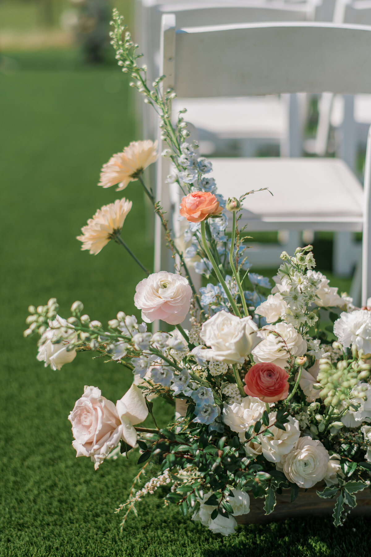 Peach and Coral Ranunculus