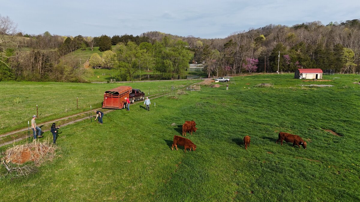 DJI_20250404091300_0034_D