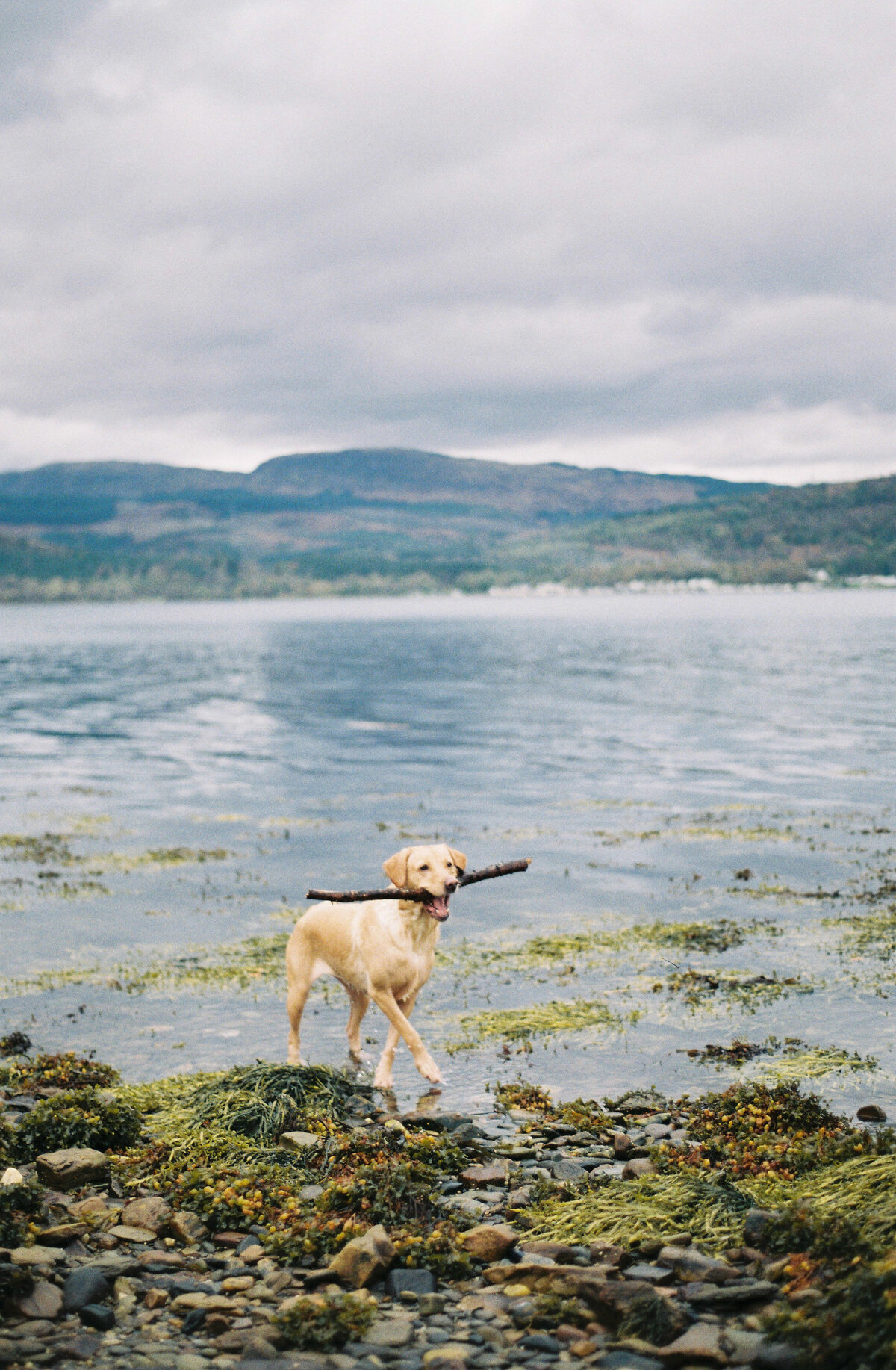 Scottish highlands on 35mm film
