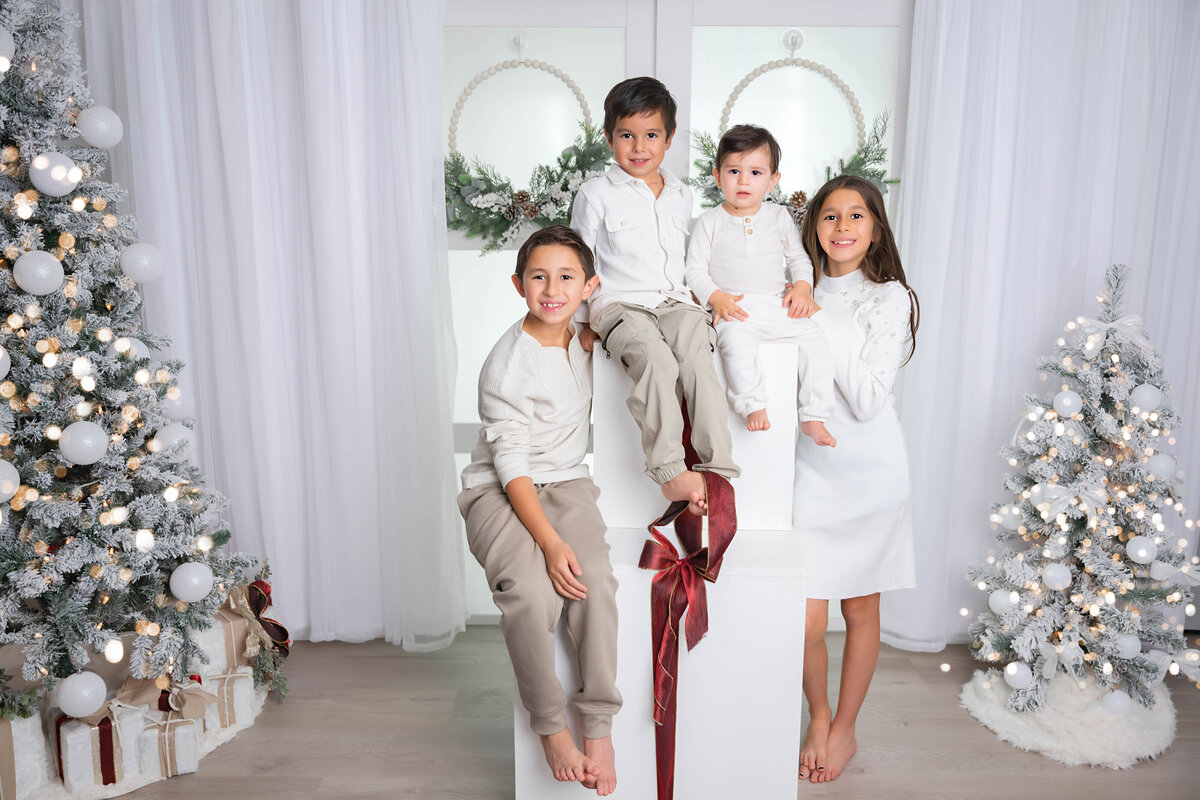 Naperville Family Photographer-51