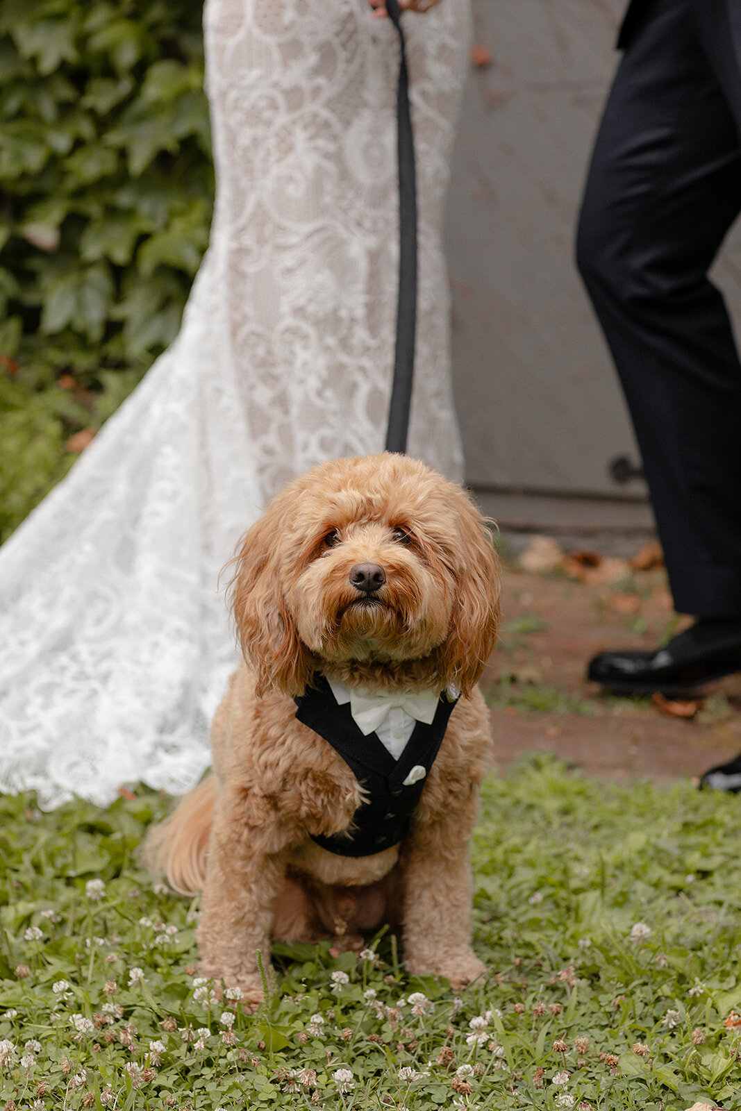 KateEdwardsWeddings_Irma&Mischa_WeddingFinals-297
