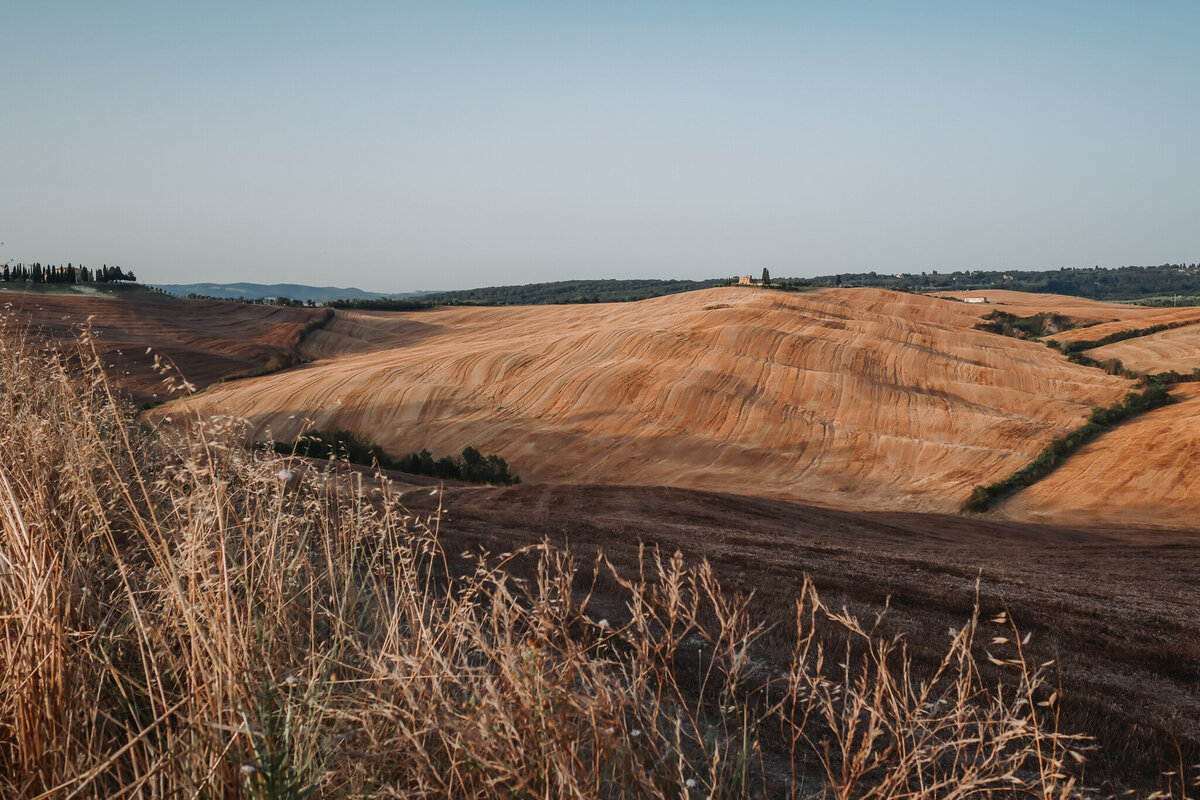 Toscana 17
