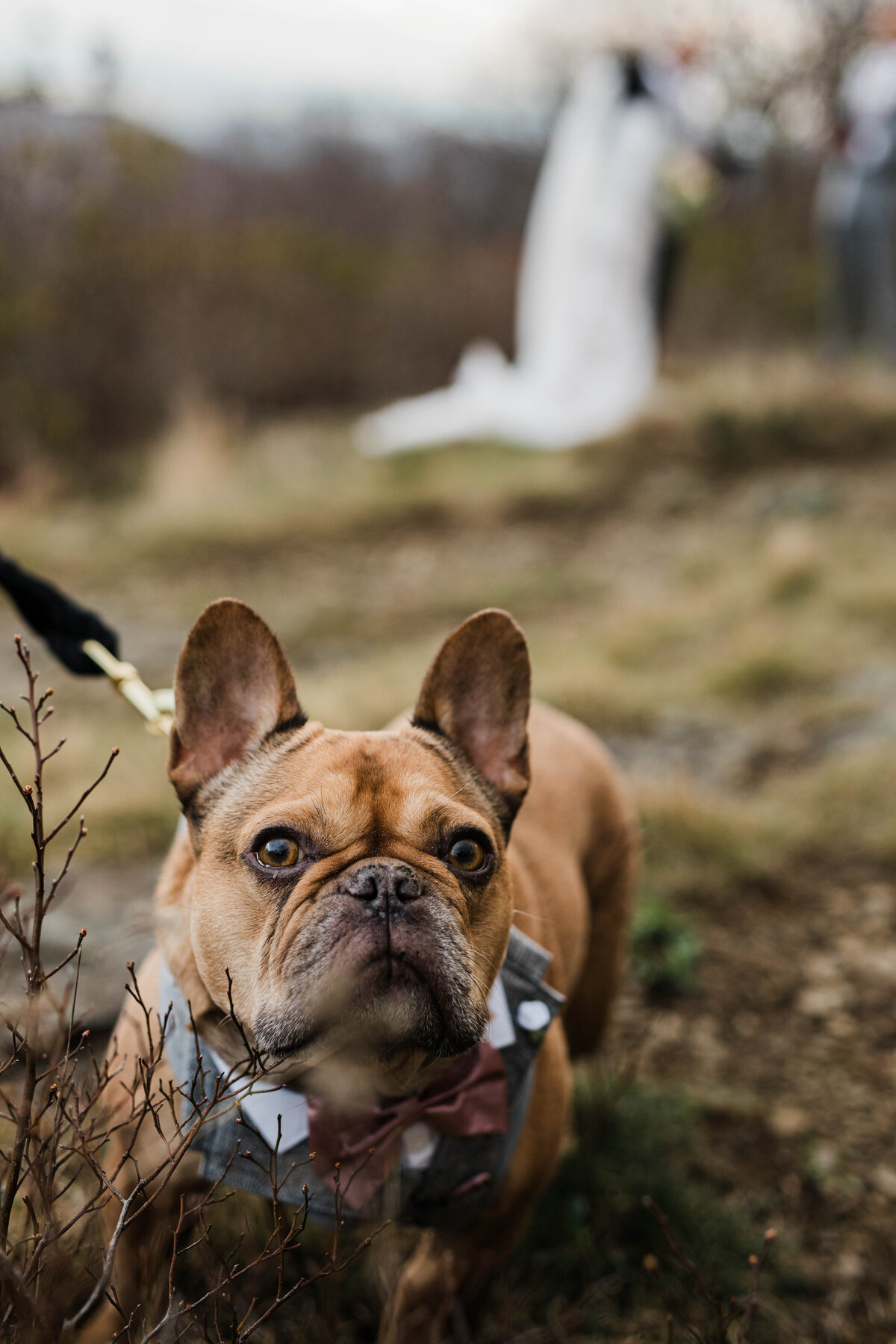 THORNBERG_ELOPEMENT_24-4