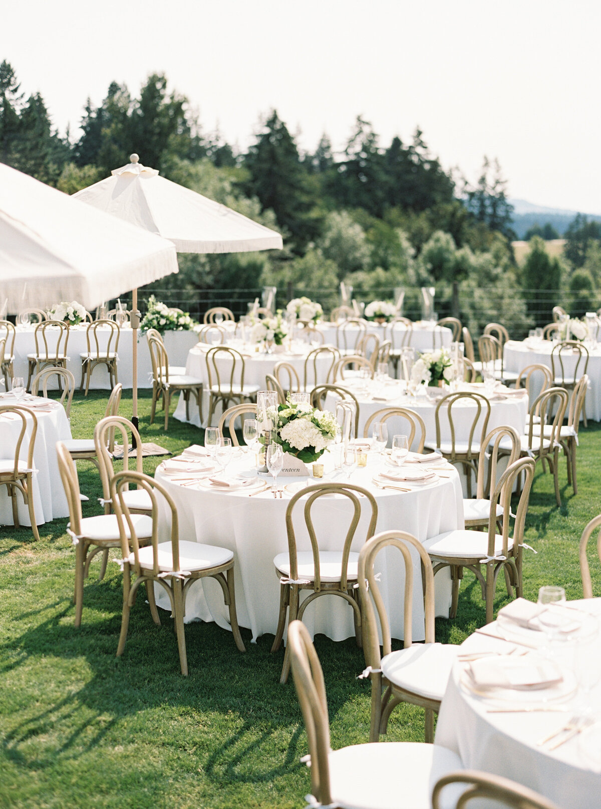 wedding-at-oswego-hills-vineyard-winery-portland-oregon-by-the-tenneys-photography-16