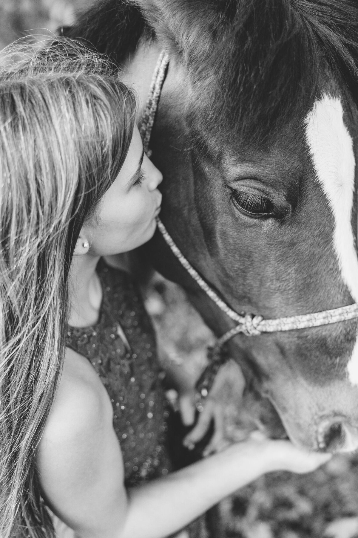 equestrian-photographer-saratoga-ny-176