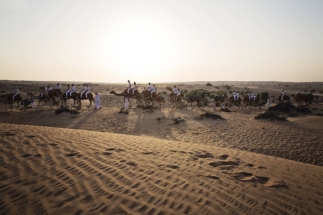 Luxury Destination Birthday Planner Dubai -camel desert 3