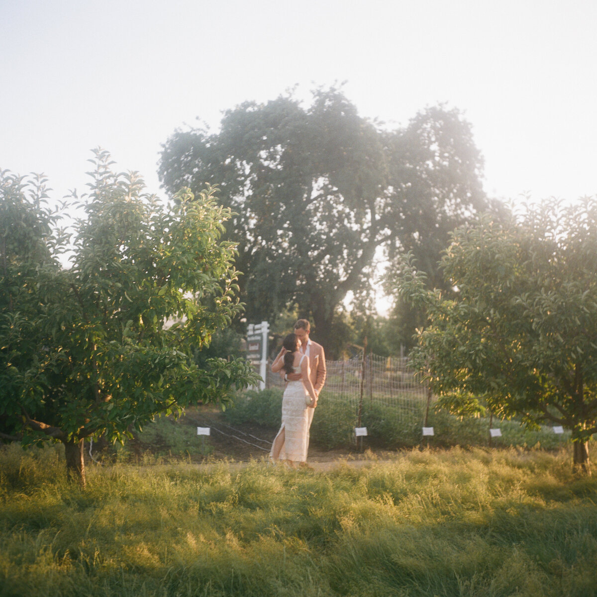 napa-documentary-best-photographer-wedding-dejauregui-photography-25