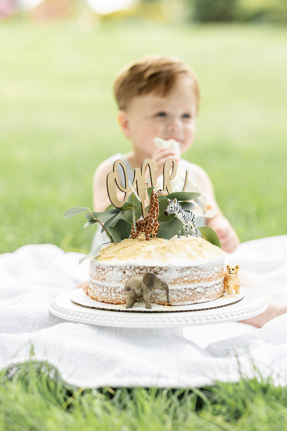 baby-first-birthday-cake-smash-photo-session-connecticut10