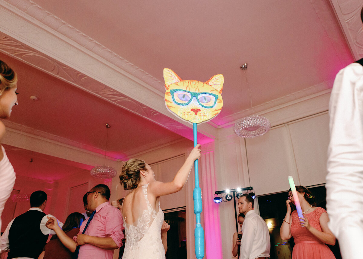 DIY_Colorful_cat_wedding-34