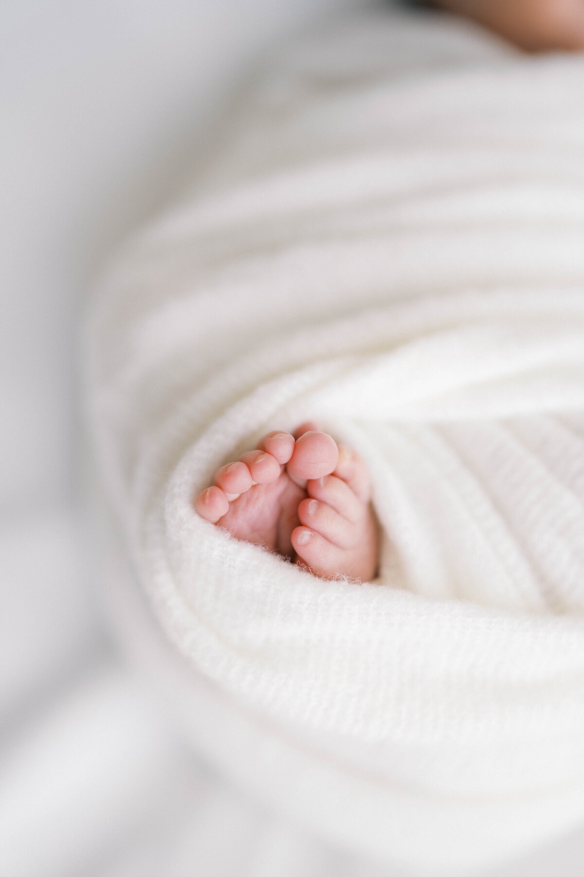 Jacksonville Newborn Photographer-4-min