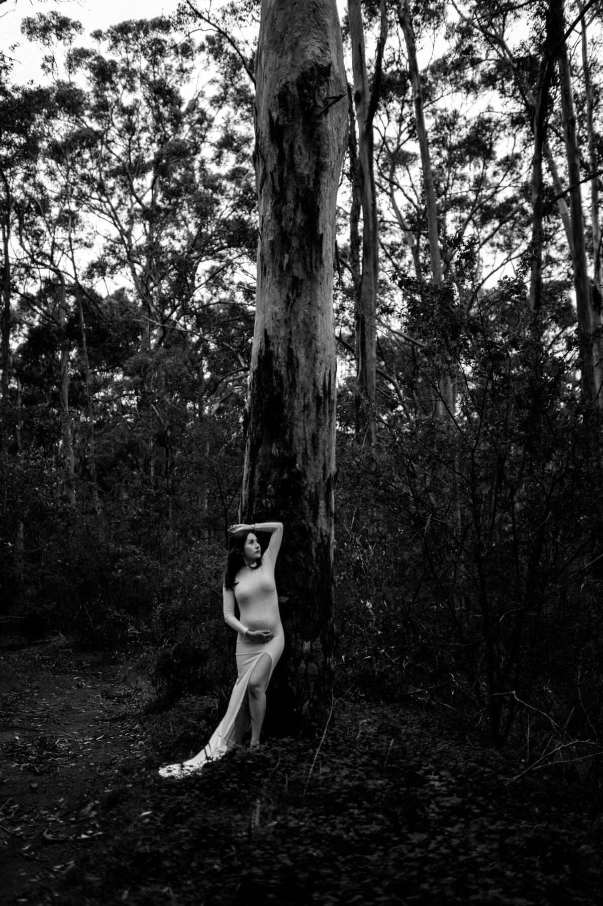 DSC_1719-2