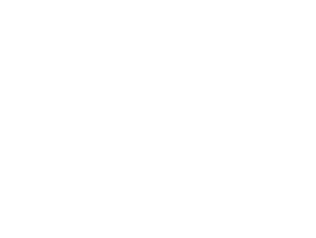 David Truong Studio Logo