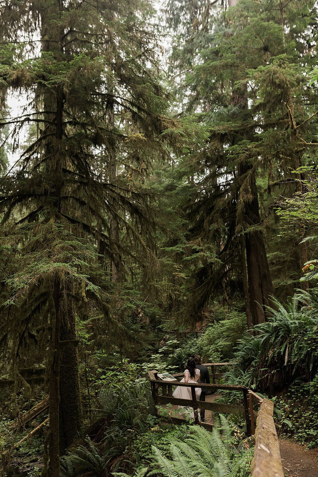 Olympic National Park Elopement  - Tara Nichole Photo - 2023 - Kyle and Keaton-56