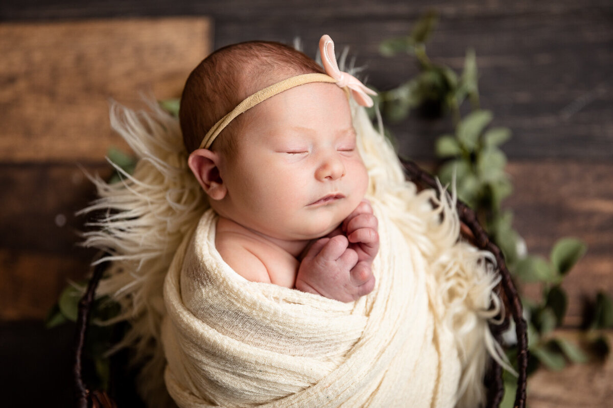 Newborn-Photographer-Illinois-Indiana-60