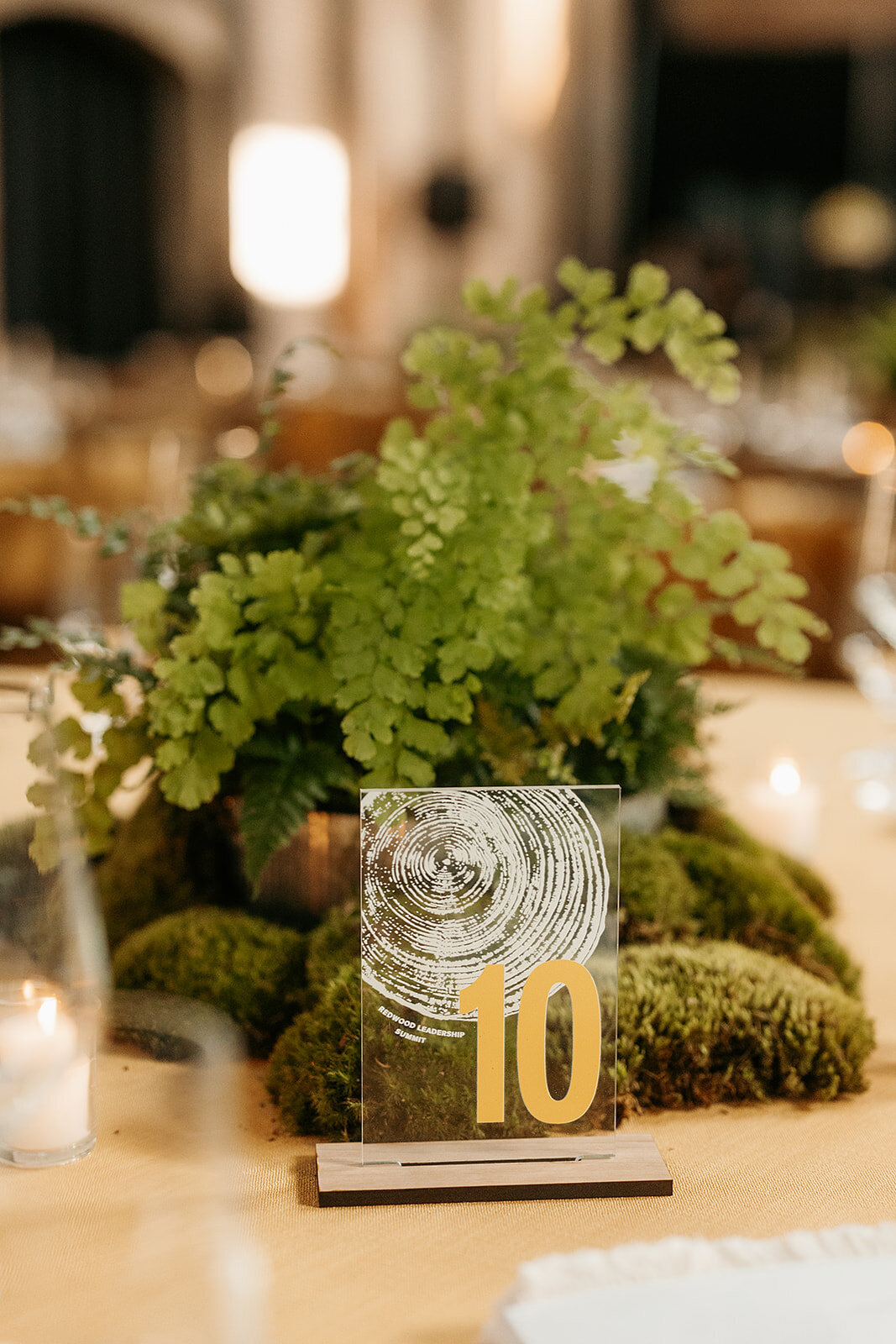DanielleChristinePhotography_Redwood_eveningday3_hires-41_websize
