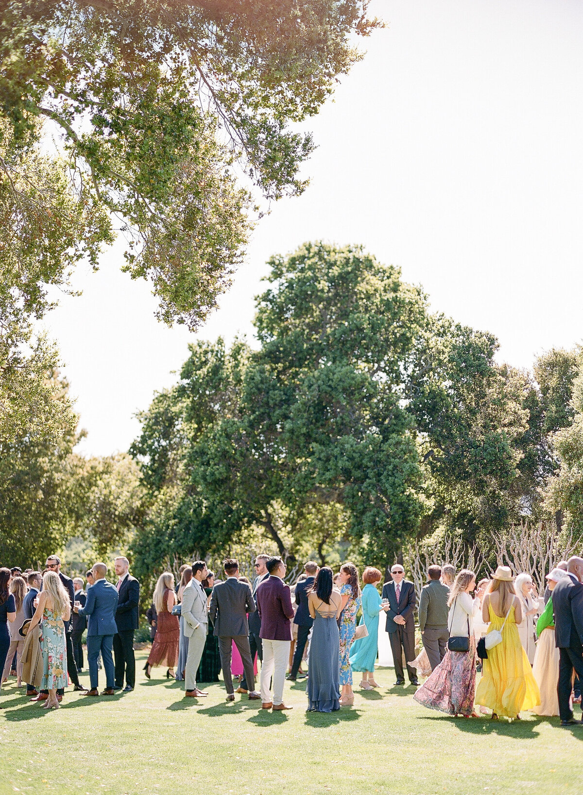 Holman Ranch Wedding Spring-20