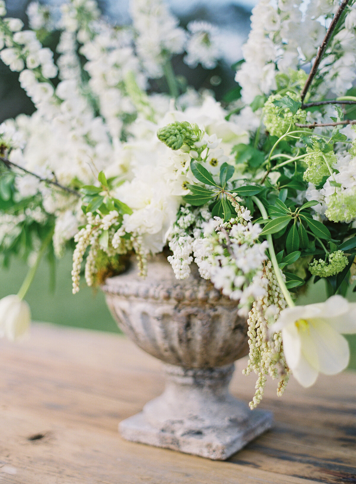lauragordonphotography_tazandrob-328
