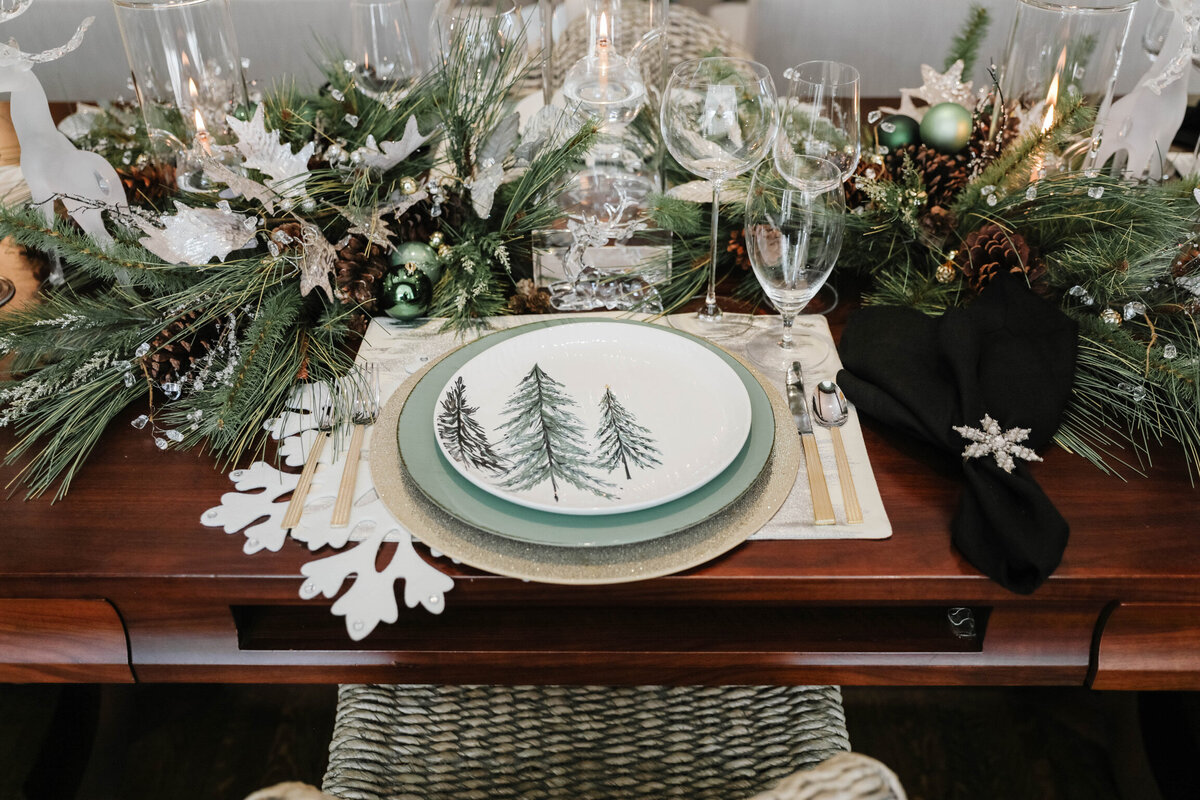 Christmas 2022 RR House-8502