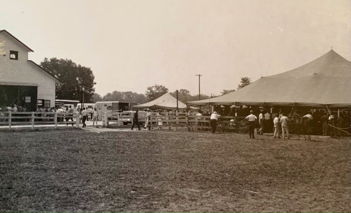 2f Sale at Harlinsdale