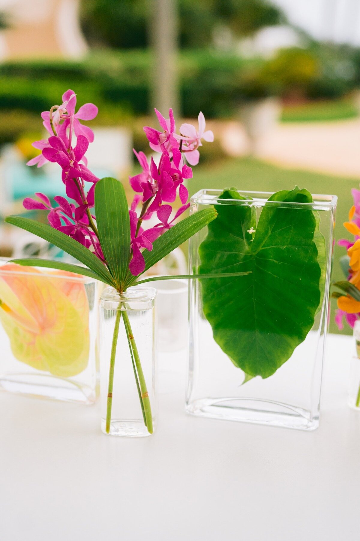 Rosewood-Bermuda-Wedding-Dasfete-1