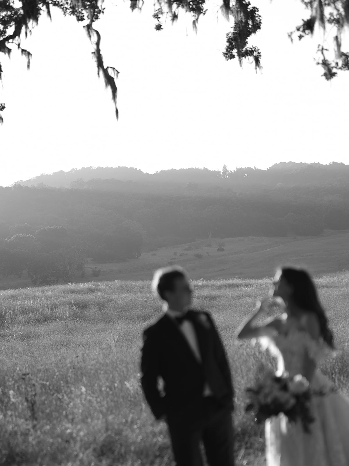 Jenny Quicksall Photography_Austin + Michael_ Santa Lucia Preserve-74